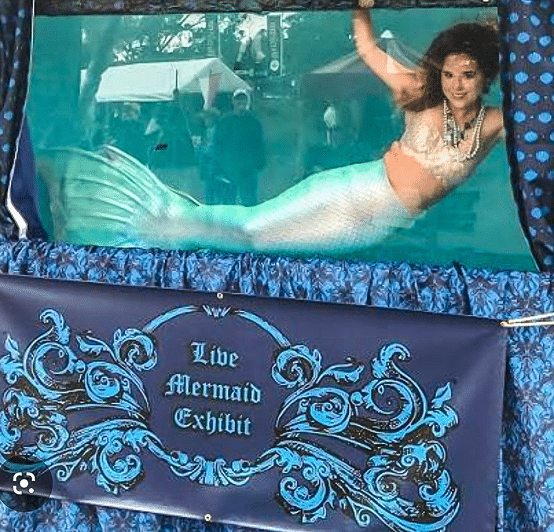 Live mermaid model in a traveling mermaid tank exhibit